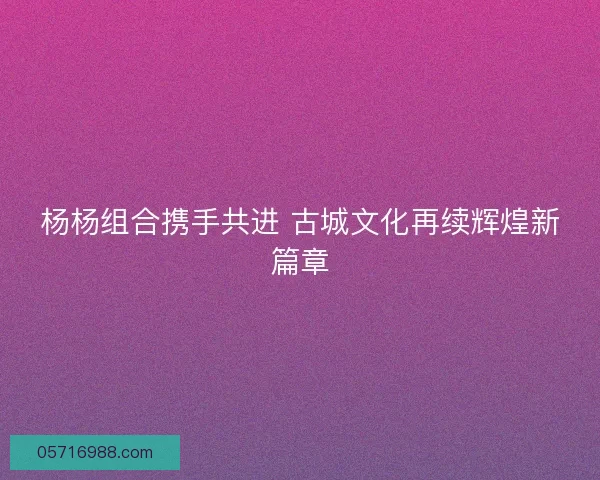 杨杨组合携手共进 古城文化再续辉煌新篇章
