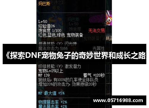 《探索DNF宠物兔子的奇妙世界和成长之路》