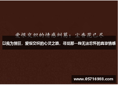 以我为情狂，爱恨交织的心灵之旅，寻觅那一段无法忘怀的真挚情感